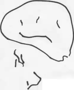 Dessin d'un bonhomme par un enfant âgé de 2 ans et demi.