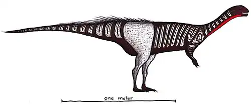 Chilesaurus