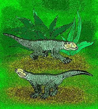 Description de cette image, également commentée ci-après