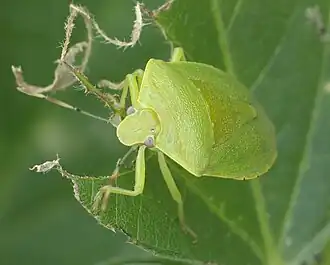 Description de cette image, également commentée ci-après