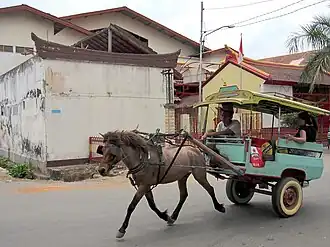 Poney Lombok bai, attelé à un cidomo.