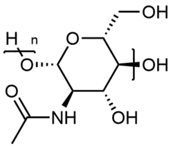 Image illustrative de l’article Chitine