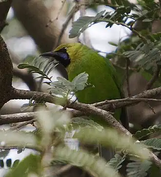 Description de cette image, également commentée ci-après