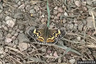 Description de cette image, également commentée ci-après