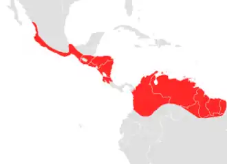 Description de l'image Choeroniscus godmani map.png.