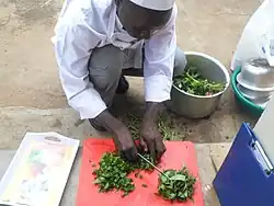 Préparation du dodo