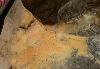 Description de cette image, également commentée ci-après