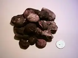 Chuño, dit aussi chuño noir.