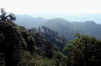 Xian autonome miao, yao et dai de Jinping