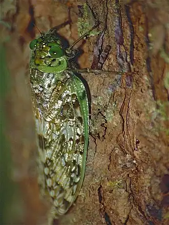 Description de cette image, également commentée ci-après