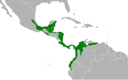 Carte de l'Amérique du sud et Centrale avev quelques zones coloriées en vert