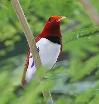 Description de cette image, également commentée ci-après