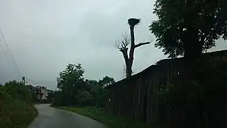 Przystałowice Duże-Kolonia