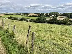 La pâture où se trouvent les sépultures.