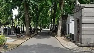 Allée du cimetière de Roubaix.