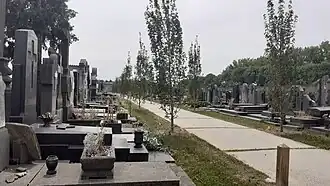 Allée du cimetière de Roubaix.