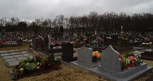 Cimetière des Pins.