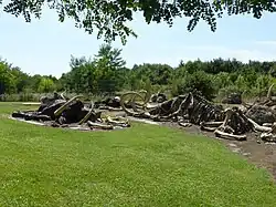 Cimetière de mammouths.