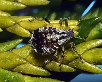 Description de cette image, également commentée ci-après