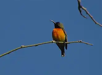 Description de cette image, également commentée ci-après