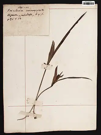 Description de cette image, également commentée ci-après