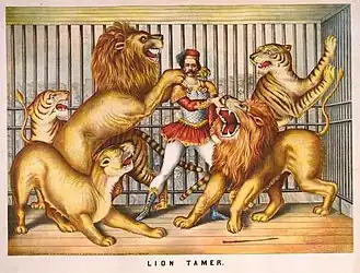 Dompteur de lion en 1893.