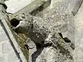 Gargouille (au sud).