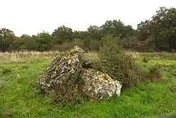 Image illustrative de l’article Pierre-Bourrilière