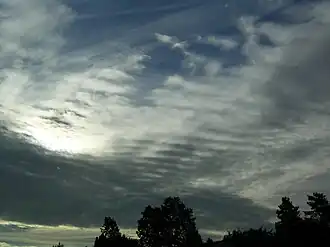 Altostratus undulatus