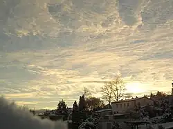 Cirrocumulus lacunosus