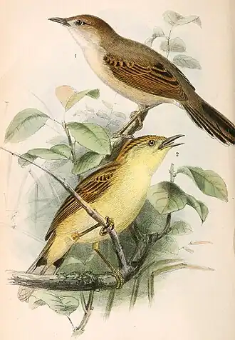 Description de cette image, également commentée ci-après