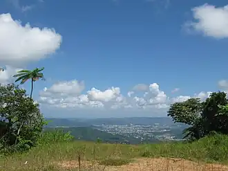 Caguas
