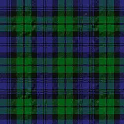 Clan Campbell (Black Watch) : bande verte chargée d'un filet bleu, bande bleu chargée alternativement d'un double filet et de deux doubles filets (fausse symétrie).