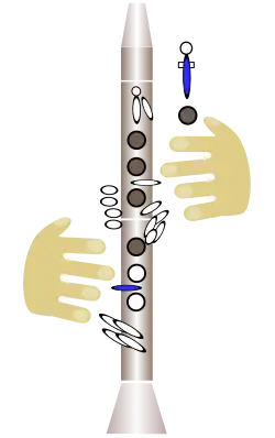 dessin : position des doigts sur l'instrument