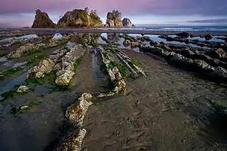 Le Point of Arches, cap sur l'Océan Pacifique, classé National Natural Landmark.
