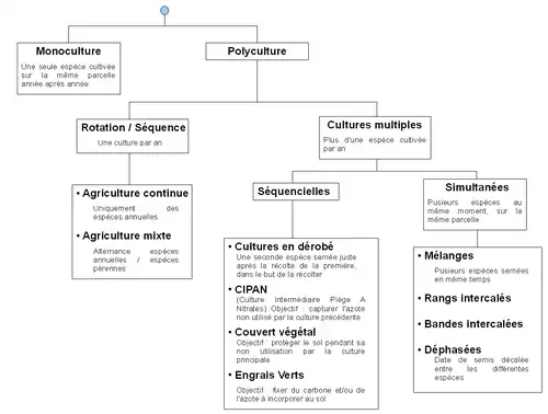 Classification des principaux groupes de système de culture : monoculture, polyculture, cultures multiples, cultures en dérobé.