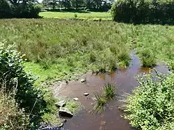 Le ruisseau de l'Étang de Clavérolles au pont de la RD 990.