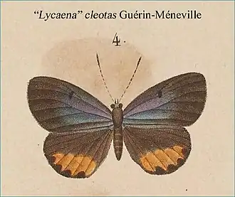 Description de l'image CleotasMUpGu-Me1831.jpg.
