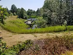 Plan d'eau sauvage vue de la piste cyclable dans le parc des berges de Clermont