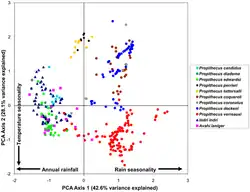Diagramme montrant l'habitat de plusieurs Indridés en fonction des variations annuelles de température et de précipitations.