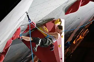 Image illustrative de l’article Para-escalade