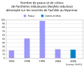 Graphique en barre : nombre de peaux et crânes vus en vente sur les marchés de Tachilek. 1992 : 20 peaux entières ; 1998 : 51 peaux ; 1999 : 97 peaux ; 2002 : 23 peaux ; 2006 : 22 peaux et crânes.