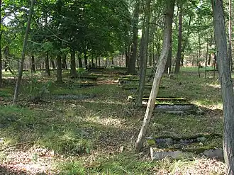 Stefanowice (Grande-Pologne)