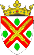 Blason de Dondușeni
