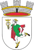 Blason de Idrija