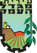 Blason de Migdal HaEmek