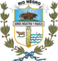 Blason de Río Negro