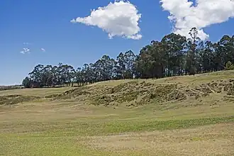 Pedro Moncayo (canton)