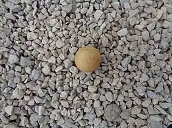 Cochonnet pour la pétanque