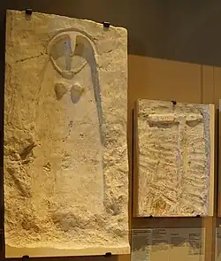 Hypogée n°23 : moulages des bas-reliefs.